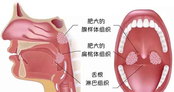 未標(biāo)題-1.jpg